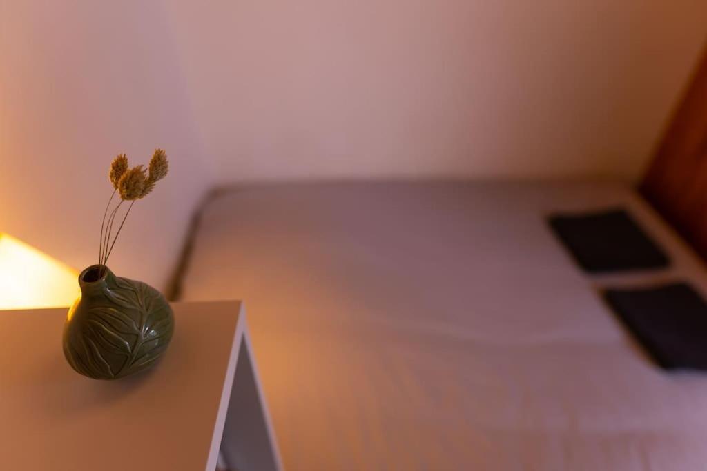 Studio Voltaire Au Coeur De Jaures Belfort Exteriér fotografie